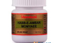 buy-hamdard-habbe-amber-momyai-for-male-reproductive-health-small-0