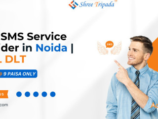 Bulk SMS Service Provider in Noida | BSNL DLT