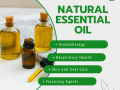 natural-essential-oil-wholesalers-in-indi-small-0