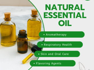 Natural Essential Oil Wholesalers in Indi