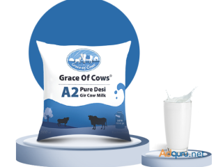 Grace of Cows Brings You the Best Gir Cow Milk Prices in Pune for Health and Taste