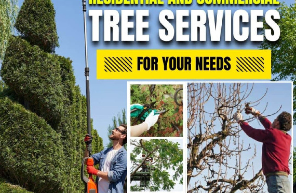 residential-and-commercial-tree-services-in-hyderabad-nhn-trees-cutting-big-0