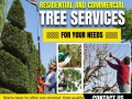 residential-and-commercial-tree-services-in-hyderabad-nhn-trees-cutting-small-0