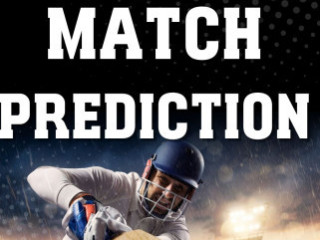 Cricket match prediction for dream 11