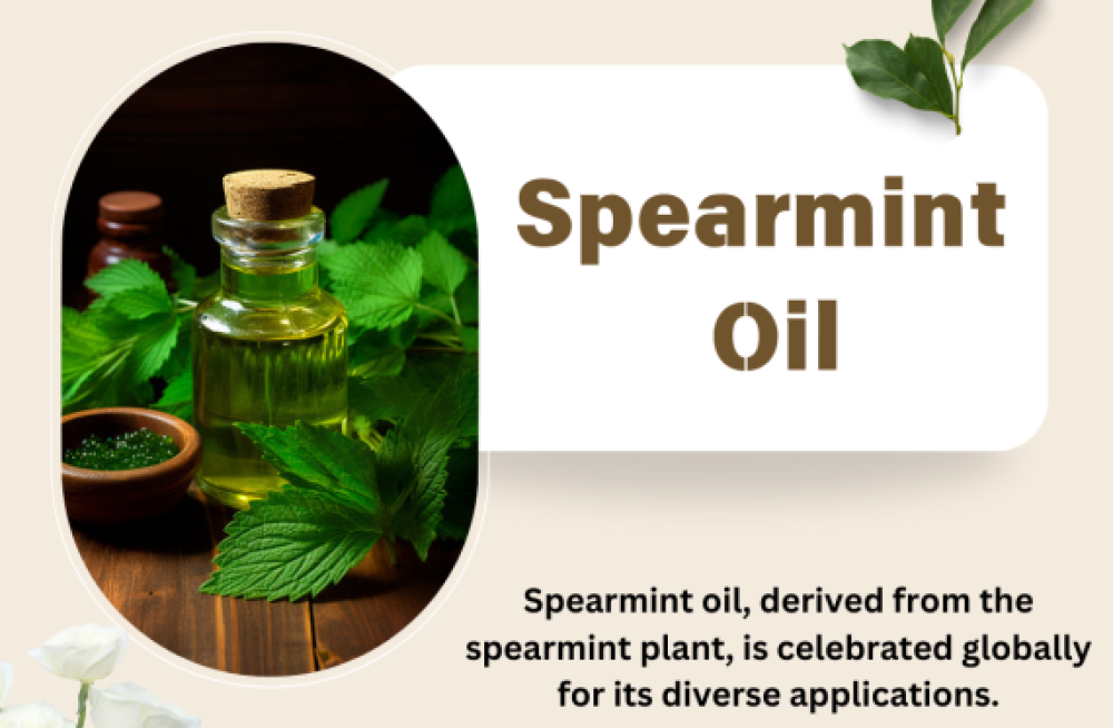 spearmint-oil-wholesalers-in-india-big-0