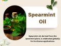 spearmint-oil-wholesalers-in-india-small-0