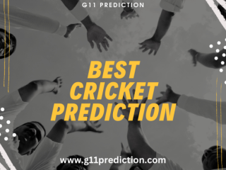 Unlocking Success: Dream 11 Prediction Website Analysis