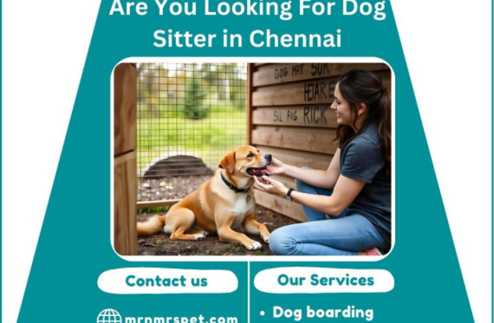 dog-sitter-in-chennai-at-affordable-price-big-0