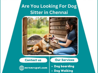 Dog Sitter in Chennai at Affordable Price