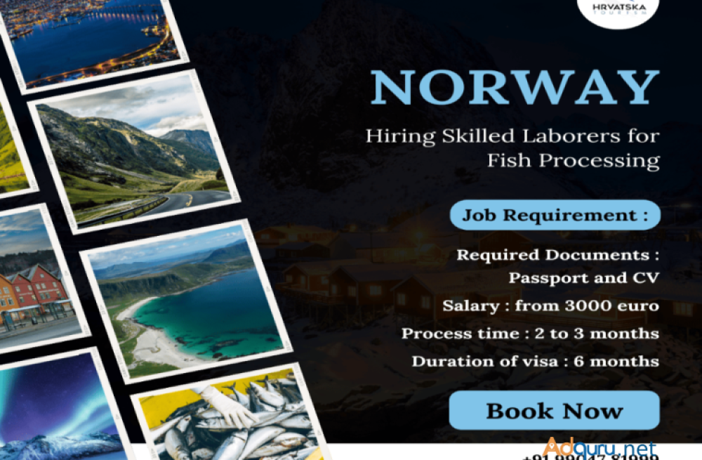 norway-hiring-skilled-laborers-for-fish-processing-big-0