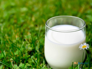 Nourish Naturally: Embrace Health with Desi Gir Cow Milk