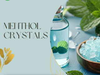 Menthol Crystal Suppliers in India