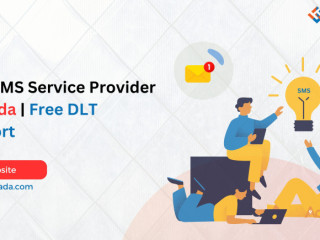 Bulk SMS Service Provider in Noida | Free DLT Support