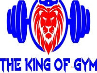 The King of Gym Equipment - Childrens Outdoor Play Equipment