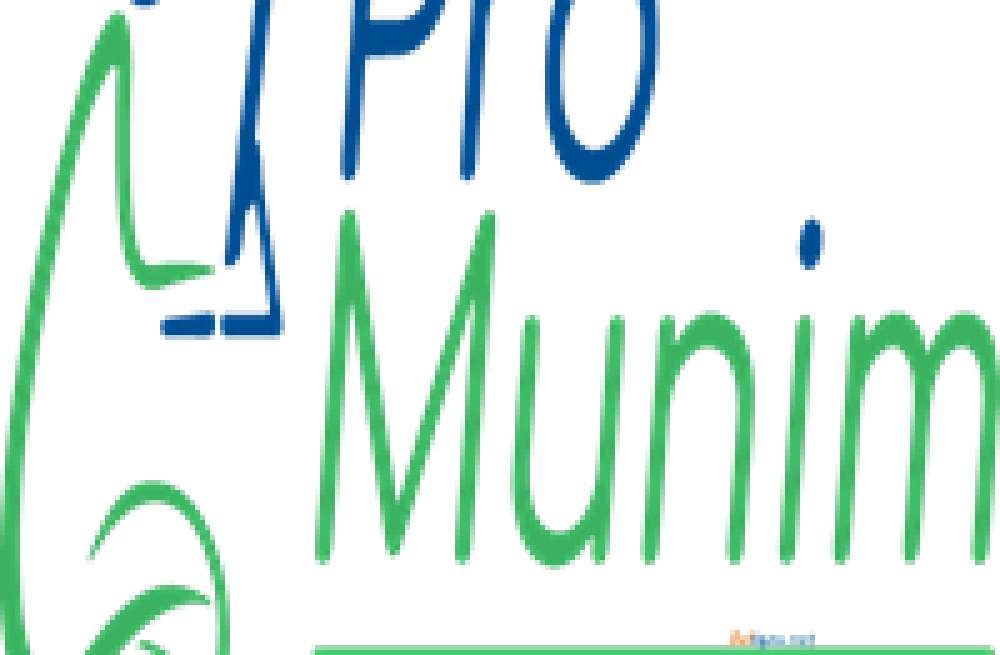 promunim-ca-firms-in-pune-big-0