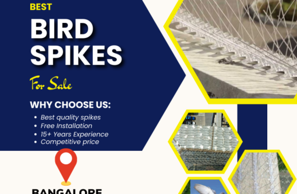 premium-bird-spikes-in-bangalore-at-affordable-prices-big-0