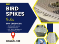 premium-bird-spikes-in-bangalore-at-affordable-prices-small-0