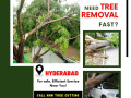 tree-removal-services-nhn-tree-cutting-services-hyderabad-small-0