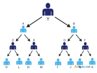 Binary MLM eCommerce Plan | Multilevel Binary Affiliate Tree (MLM) Software in WooCommerce with Customization