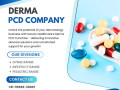 how-does-the-derma-pcd-company-stay-ahead-of-industry-trends-to-offer-cutting-edge-derma-solutions-small-0