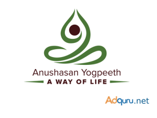 Comprehensive Online Yoga Teacher Training Bangalore