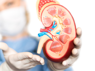 What Is The Cost of Kidney Transplant At Hiranandani Hospital?