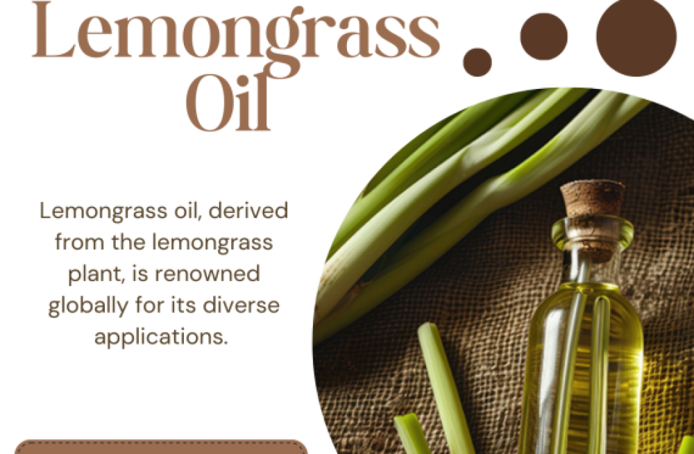 best-lemongrass-oil-suppliers-in-india-big-0