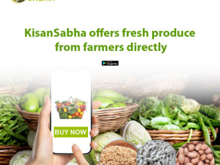 Agri Startups: Providing Smart Farming Solutions To Farmers.