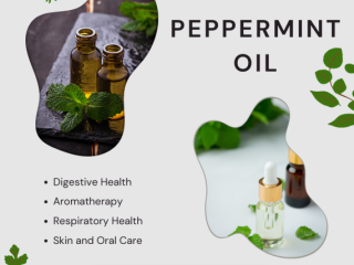 Best Peppermint Oil Suppliers in India