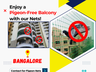 Top-Quality Pigeon Safety Nets in Bangalore – Prestige Safety Nets