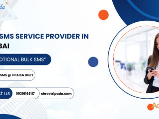 Bulk SMS Service Provider in Mumbai | Promotional Bulk SMS