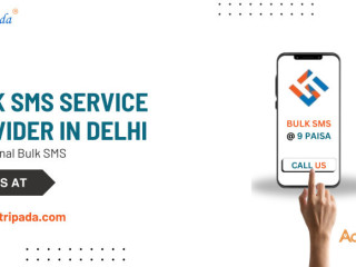 Bulk SMS Service Provider in Delhi | Promotional Bulk SMS