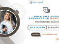 bulk-sms-service-provider-in-bangalore-promotional-bulk-sms-small-0