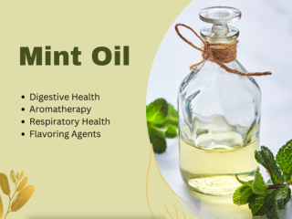 Best Mint Oil Suppliers in India