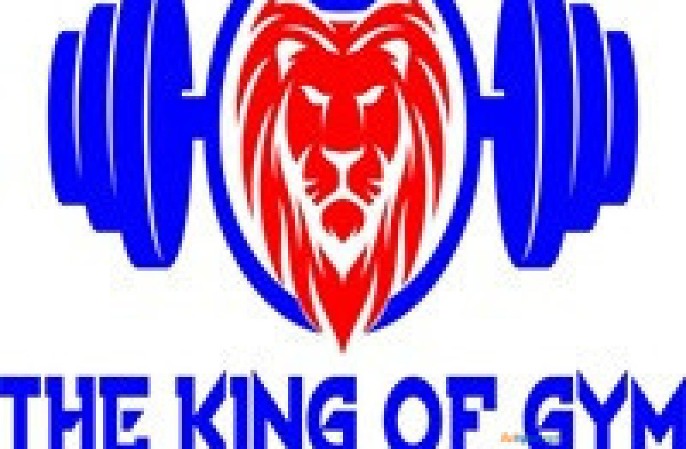 the-king-of-gym-equipment-kids-indoor-play-equipment-big-0