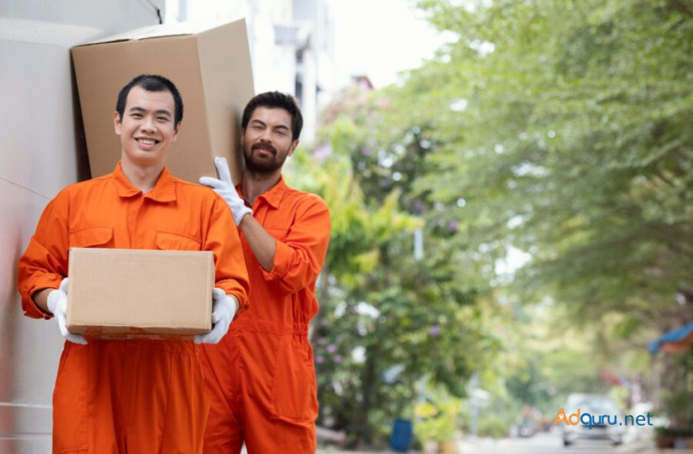 the-benefits-of-hiring-professional-movers-and-packers-in-noida-big-0