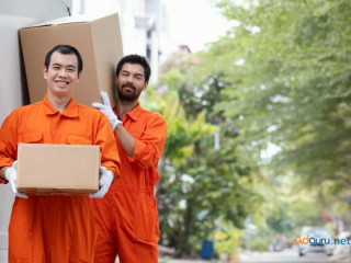 The Benefits of Hiring Professional Movers and Packers in Noida