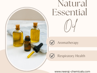 Best Natural Essential Oil Suppliers in India