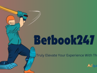 Why Betbook247 is Your Trustworthy Partner for Risk-Free Cricket Betting