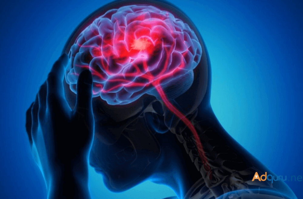 what-are-the-symptoms-of-a-neurological-problem-by-biovatic-big-0