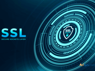 SSLs Review: Why Choose SSLs for Your SSL Certificates?