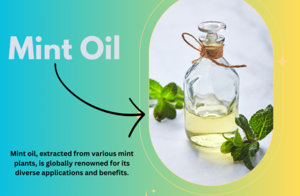 best-mint-oil-wholesalers-in-india-big-0