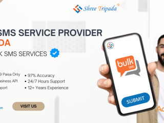 Bulk SMS Service Provider in Noida | Best Bulk SMS Services