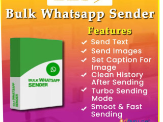 Bulk Whatsapp Marketing Service in India