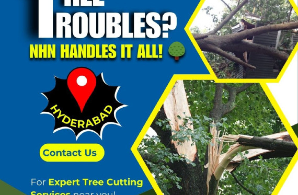 tree-cutting-services-in-hyderabad-nhn-trees-cutting-8187078427-big-0