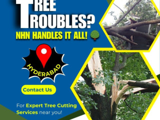 Tree Cutting Services in Hyderabad – NHN Trees Cutting -8187078427