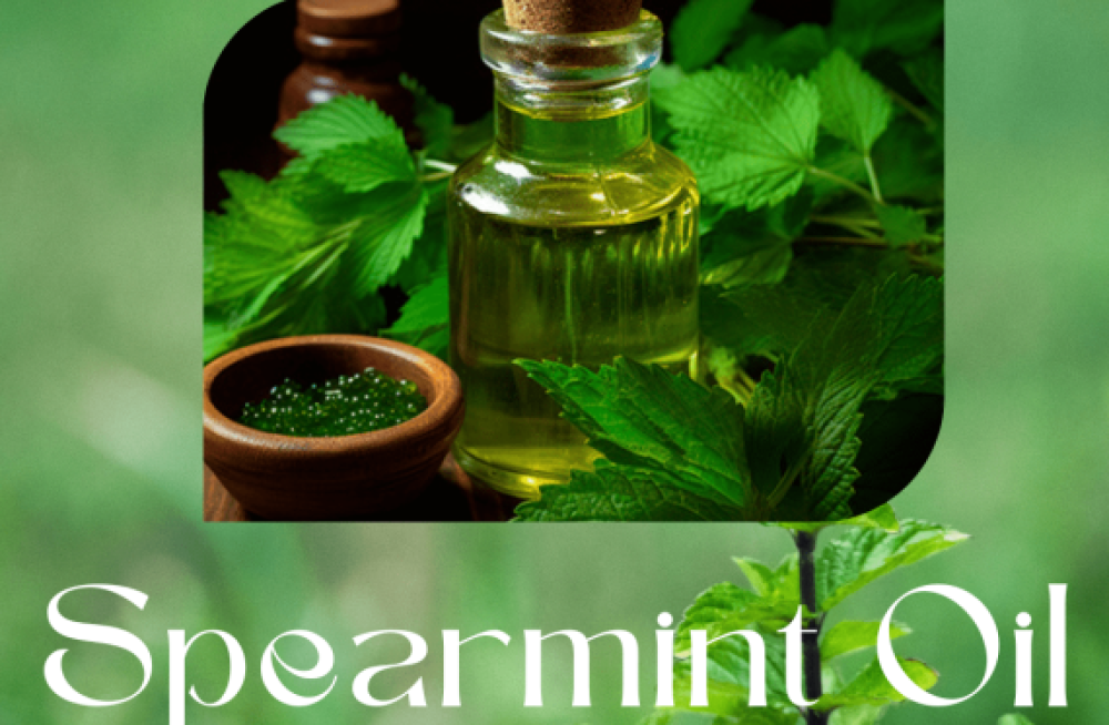 spearmint-oil-suppliers-wholesalers-in-india-big-0