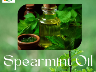 Spearmint Oil Suppliers & Wholesalers in India