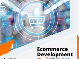 Professional Ecommerce Web Development Service Provider