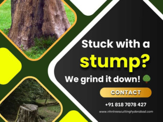 Tree Stump Grinding & Tree Care Services in Hyderabad: NHN Tree Cutting Hyderabad